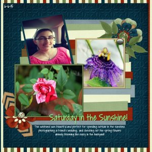 Sunshine Saturday