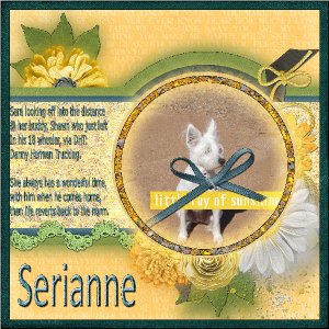 Serianne