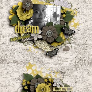 Dream