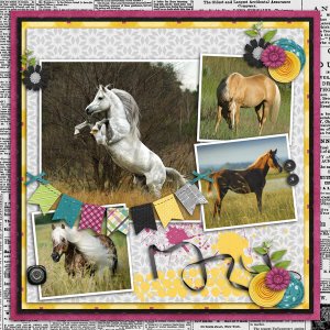 Horses in Tall Grass