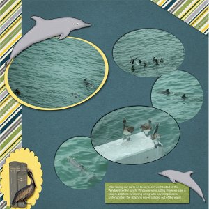 Sunday_Dolphins