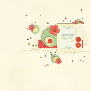 The_Simple_Life_LO1_06_12_STS