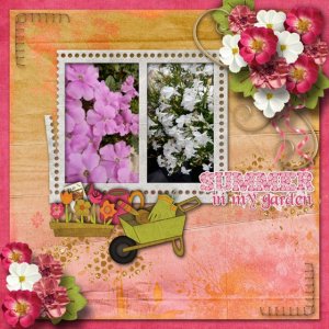 Summer_in_my_garden