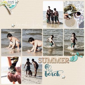 Summer at the Beach