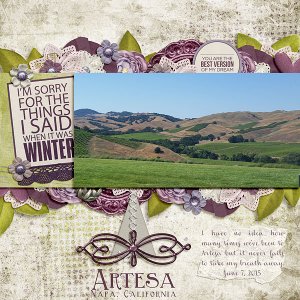 2015-06 scraplift - Artesa