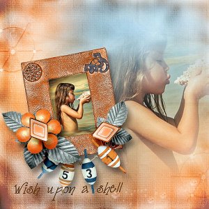 Wish upon a shell