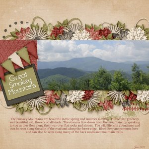 Great Smokey Mountains