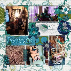 peacock projects
