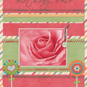 Birthday Rose