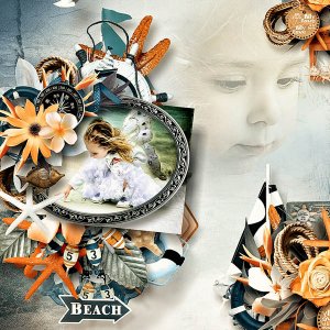 Beach explorer