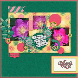 Alberta Rose