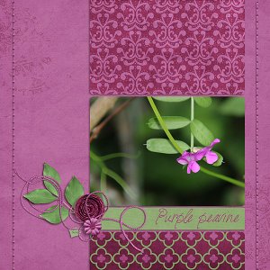 Recipe Challenge ~ Jun 15
