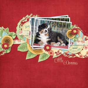 Little Donna