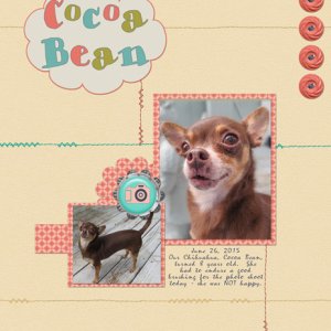 Cocoa Bean