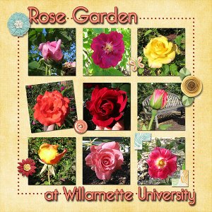 Rose Garden