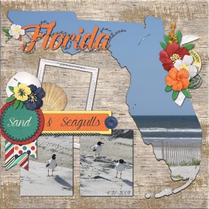Florida Sand and Seagulls