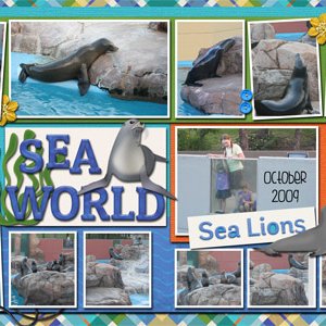 Sea World 2009