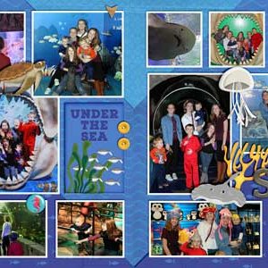 Sea Life