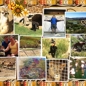San Diego Zoo Safari