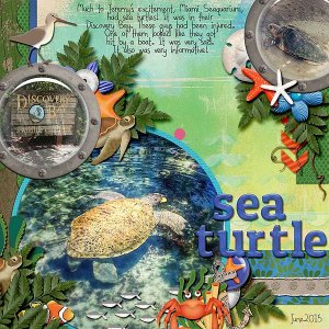 Vacation 2015 | Sea Turtle