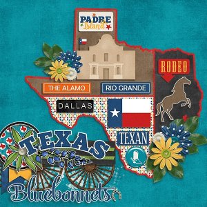 Texas Bluebonnets