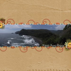 Kohala Forest Reserve