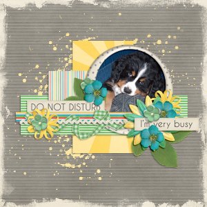 Do not disturb