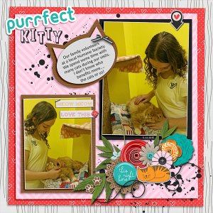 Purrfect Kitty