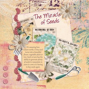 Miracle of Seeds