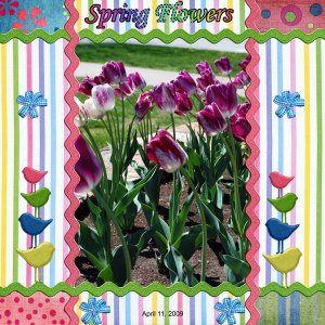 Spring Flowers