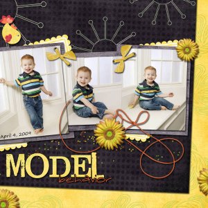 Model Behaviour