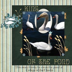 King of the Pond