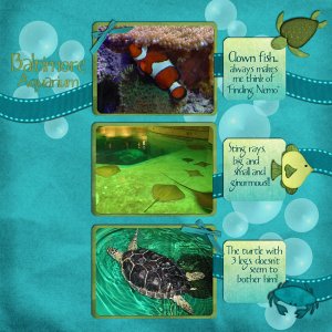 Baltimore Aquarium