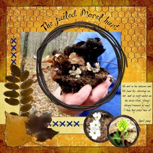 The failed Morel hunt