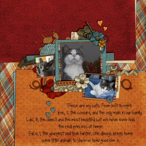 My cats