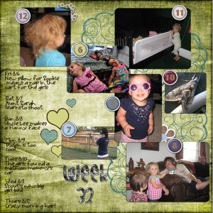 Project 365 Week 32
