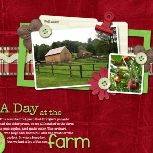 A Day at the Farm