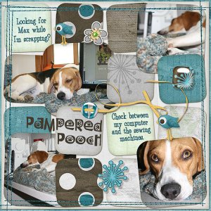 Pampered Pooch