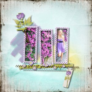 Lavender Garden