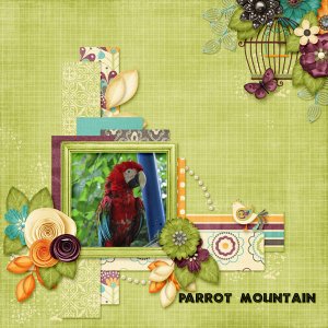 Parrot Mountain