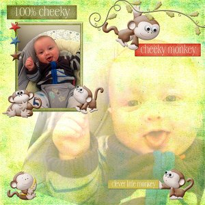 Cheeky Monkey