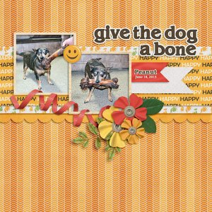 Give the Dog a Bone