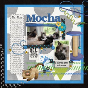 Mr. Mom ~ Mocha