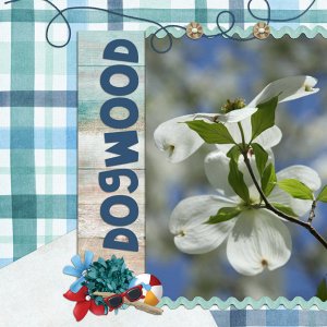 Dogwood