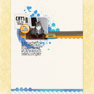 Cattitude