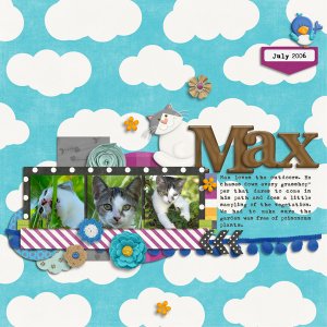Max the Cat