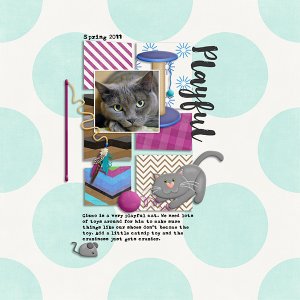 Playful Cat