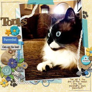 Tonks