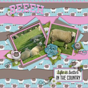 Barnyard Buddies