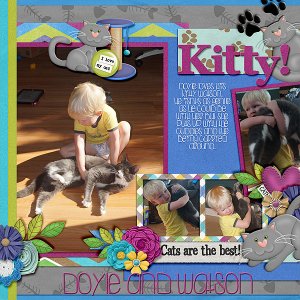 kitty-_